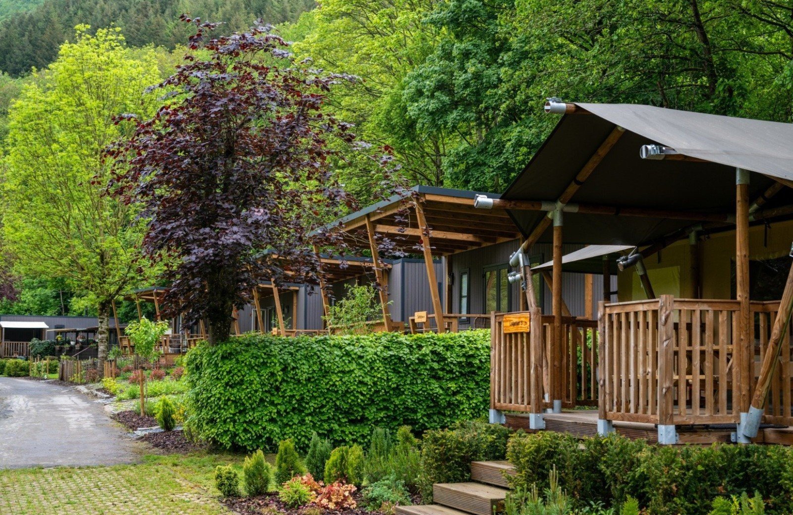 Ruime keuze uit verschillende accommodaties